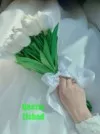 Фото превью товара - #1